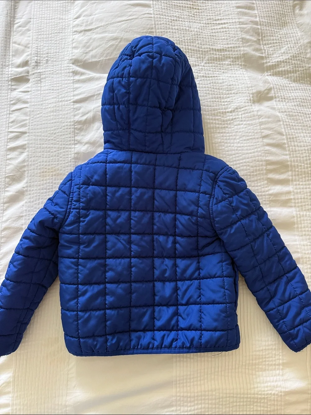 Janie and Jack Royal Blue Quilted Hooded Puffer